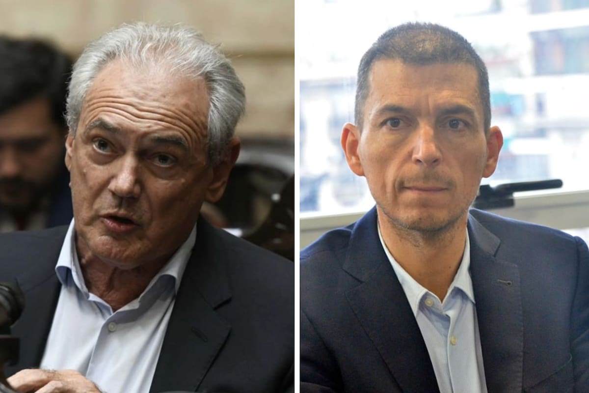 Atilio Benedetti y Luis Picat, diputados por la UCR