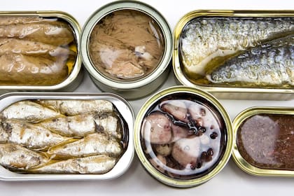 Atún, caballa, sardinas y anchoítas son algunas variedades realizadas por productores artesanales con un gran saber heredado; aquí, algunos consejos para comer estas “bombas de sabor” que mejoran cualquier comida