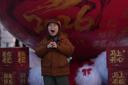 Auckland, en Nueva Zelanda, inicia las celebraciones de 2026 con espectáculo pirotécnico