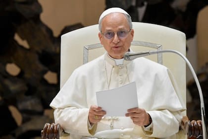 Audiencia del papa León XIV