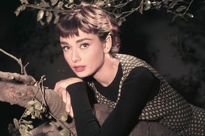La historia forma parte de Intimate Audrey: An Authorized Biography, la biografía autorizada escrita por Sean Hepburn Ferrer junto a Wendy Holden