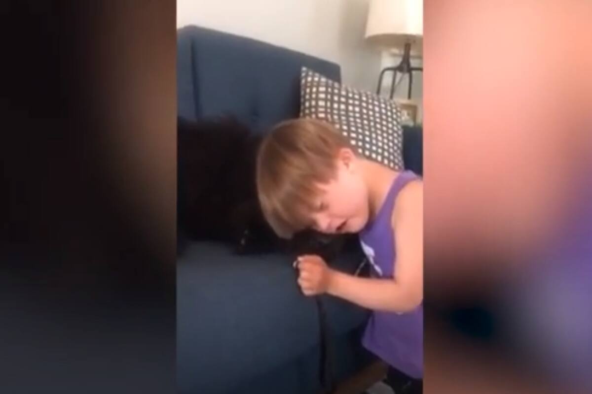 Augie, un niño de seis años con Síndrome de Down, reconfortó a su perra Maeby tras una operación