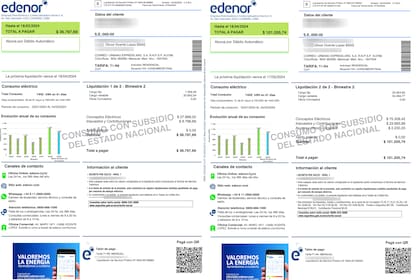 Aumento de luz. Boleta de Edesur y Edenor