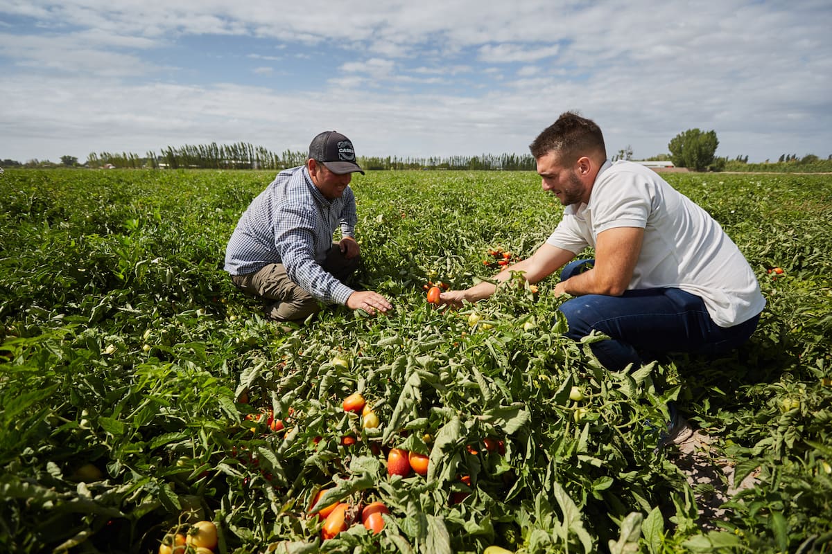 Aumentó el monto de facturación anual que debe tener una pyme para quedar encuadrada como agente de recaudación