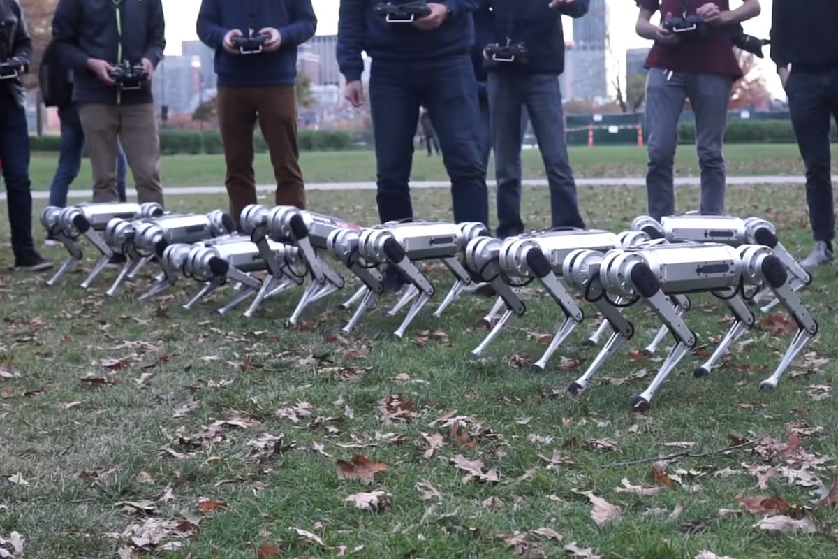 Aún en etapa de desarrollo, el video publicado por el MIT revela las destrezas de este pequeño y robusto robot cuadrúpedo