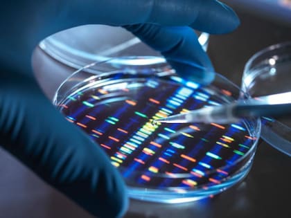 Aún era necesario determinar qué molécula causa los cambios en el cerebro.