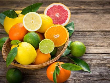 Aunque a simple vista parezcan iguales, las semillas de los cítricos varían en tamaño, cantidad y capacidad de generar brotes, con diferencias sutiles entre limones, naranjas, mandarinas y pomelos que reflejan la diversidad dentro del género Citrus