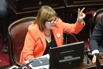 Aunque Bullrich confirmó que los senadores de LLA retiraron su respaldo y aseguró que el proyecto no prosperará en su versión actual, las principales cadenas agroindustriales redoblaron la presión para evitar que la iniciativa vuelva a tomar impulso