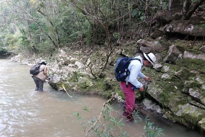 Aunque Chaparral es una zona en donde se hizo el hallazgo es muy turística, allí no se habían adelantado muchos estudios y hallazgos geológicos como este