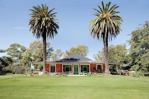 Aunque cueste creerlo, estas dos palmeras y el techo a cuatro aguas son casi lo único que quedó de la estructura y entorno original de la casa.