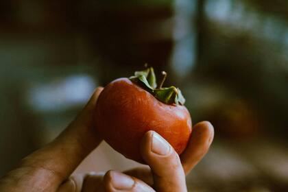 Aunque el caqui es una fruta llena de beneficios, su consumo no es aconsejable en exceso para algunas personas (Foto de carácter ilustrativo: PEXELS)
