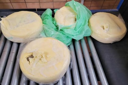 Aunque el conductor admitió llevar cuatro hormas de queso, los agentes fronterizos decidieron investigar más sobre la carga