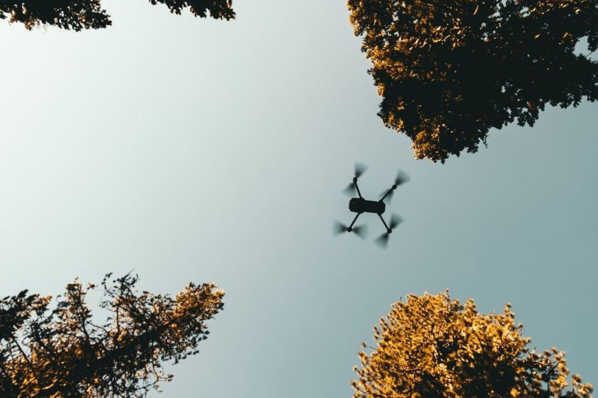 Aunque el fenómeno no presentó hasta ahora una amenaza inmediata para la seguridad pública, las autoridades federales y locales ya están involucradas en una investigación.