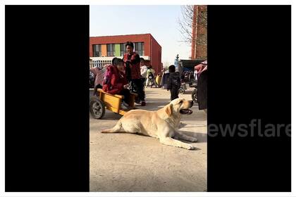 Aunque el video fue borrado de X, fue reposteado en diversos lugares donde logró conseguir miles de visitas