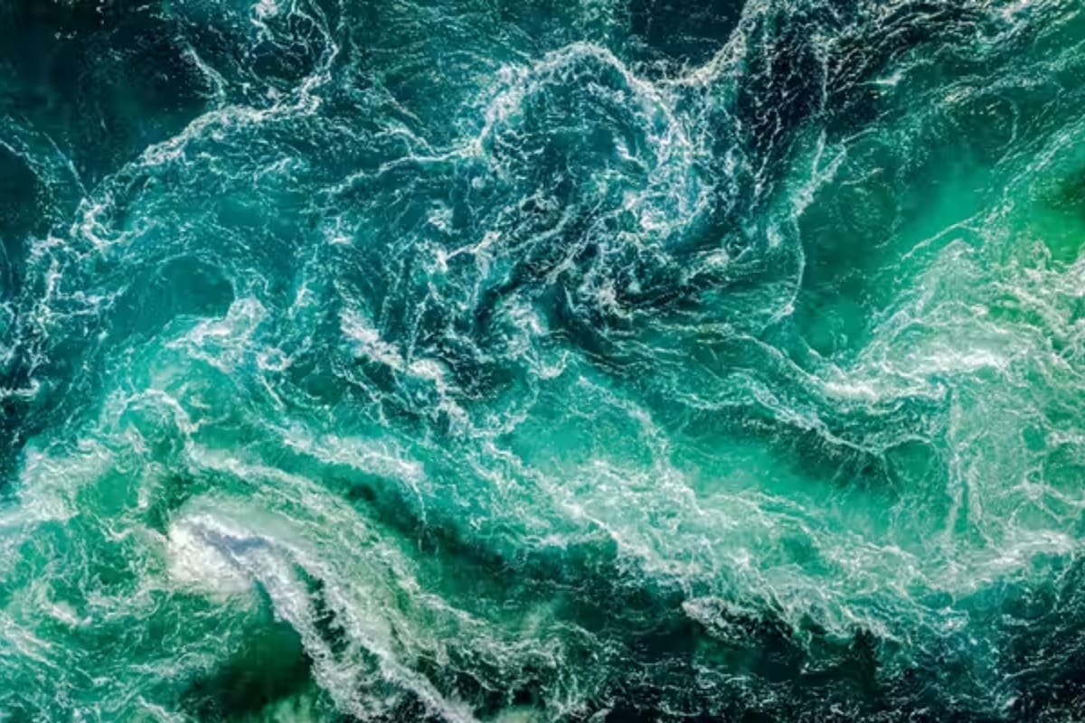 Aunque esta microbiota es la gran desconocida, investigaciones recientes han desvelado que es increíblemente diversa en especies, contenido génico y funciones