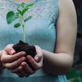 Proverbio chino: “El mejor momento para plantar un árbol fue hace 20 años; el segundo mejor momento es ahora”