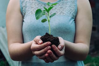 Proverbio chino: “El mejor momento para plantar un árbol fue hace 20 años; el segundo mejor momento es ahora”