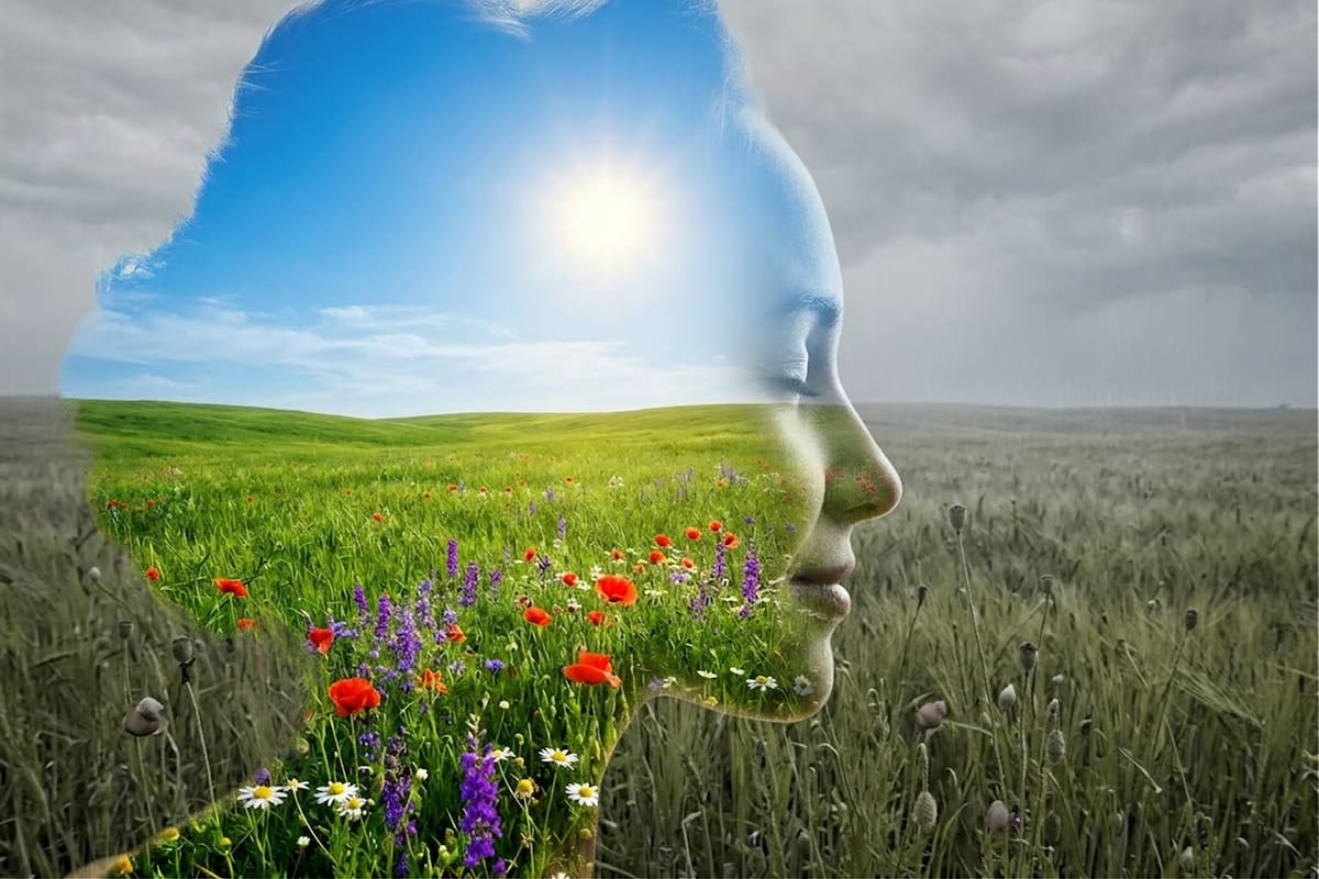 La imprevisibilidad afectiva sostenida activa en el cerebro los mismos circuitos que responden ante una amenaza concreta