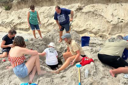 Aunque no tocó tierra ni causó daños, huracán Erin afectó a nidos de tortugas