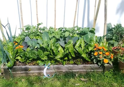 Aunque sea mínimo, cualquier espacio sirve para cultivar