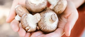 El alimento que se destaca por sus propiedades para reducir la inflamación y aportar probióticos