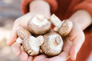 El alimento que se destaca por sus propiedades para reducir la inflamación y aportar probióticos