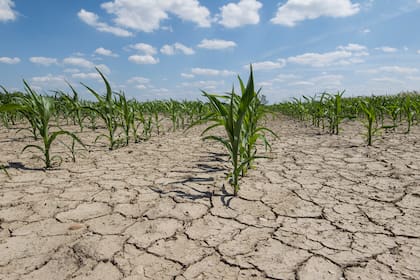 Aunque suele relacionarse con lluvias e inundaciones, El Niño también puede alterar los patrones de precipitaciones y favorecer condiciones más secas en otras zonas