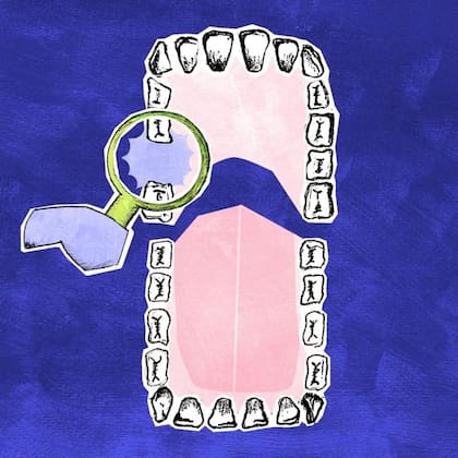 Aunque todavía es pronto, los investigadores confían en que, con el tiempo, el público dispondrá de soluciones dentales regenerativas seguras y sostenibles