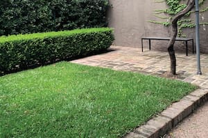 Aunque ya se puede bajar la intensidad del riego, en otoño, el césped requiere cuidados específicos.