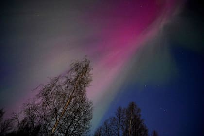 Aurora en un bosque de Espoo, Finlandia. (Photo by Heikki Saukkomaa / Lehtikuva / AFP) / Finland OUT