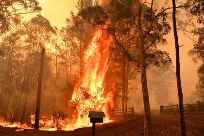 Australia en llamas; crece el miedo que despierta la crisis climática
