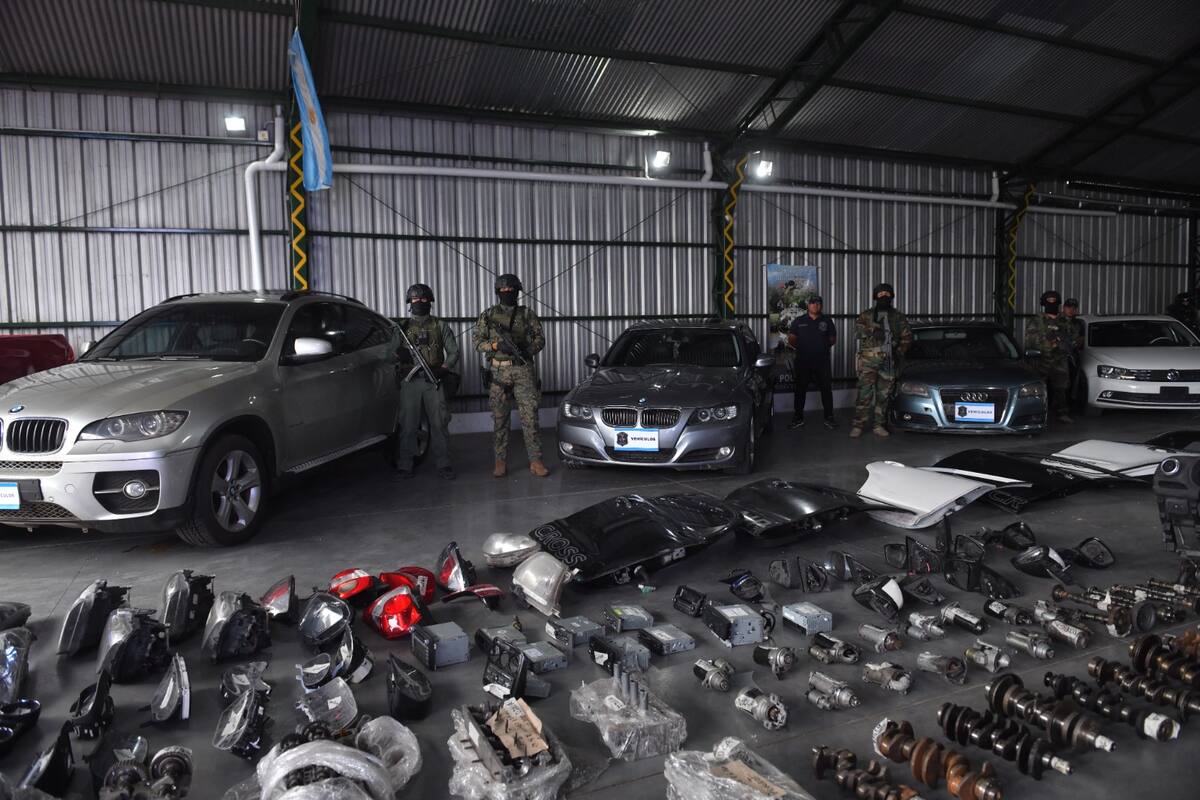 Autopartes y vehículos que fueron recuperados en un operativo de la policía bonaerense
