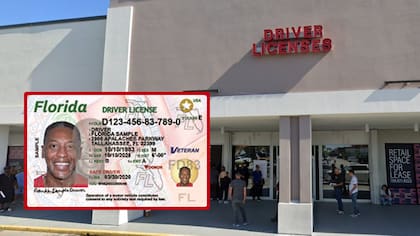 Autoridades de dos condados de Florida denuncian fallas del sistema informático estatal Orion que gestiona los trámites de licencias de conducir y servicios del DMV