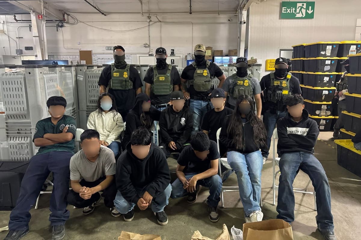 Autoridades federales y estatales investigan a Glass House tras confirmar que al menos 14 menores trabajaban en sus instalaciones de Camarillo y Carpinteria