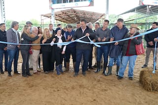 Con 26 cabañas y más de 145 reproductores, se inauguró la Nacional Primavera Braford en Chaco