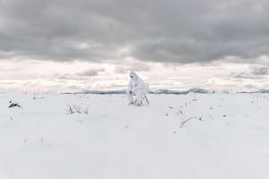 "Autorretrato en blanco", de Marianela Muñiz, ganadora del primer premio del concurso de Bunge y Born para jóvenes artistas