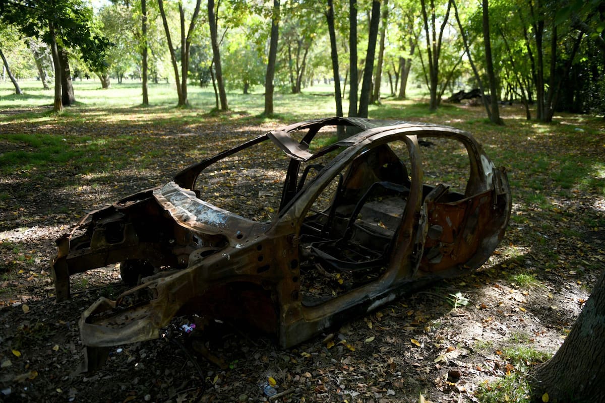 Autos quemados y abandonados, acumulación de basura e inseguridad jaquean al pulmón verde más grande del AMBA