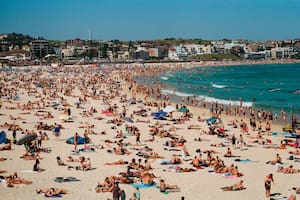 Avanza la discusión de medidas de seguridad para Spring Break 2026