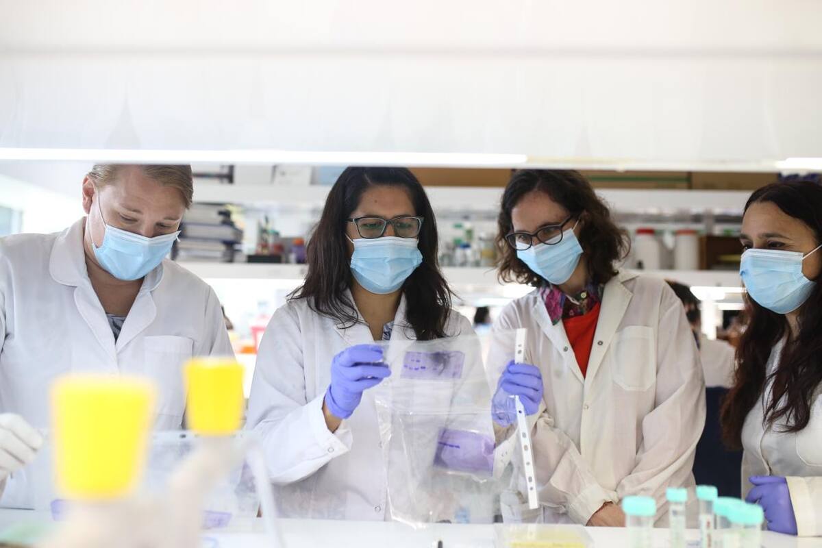 Avanza la vacuna argentina contra el Covid y busca voluntarios en todo el país