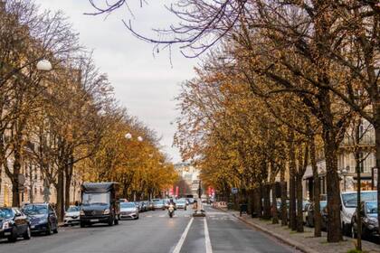 Avenue Montaigne - París