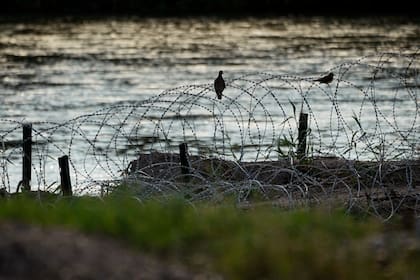 Aves descansan sobre alambre de púas colocado a lo largo del río Grande, también conocido como Bravo en Eagle Pass, Texas
