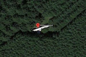 Avión en bosque de Estados Unidos