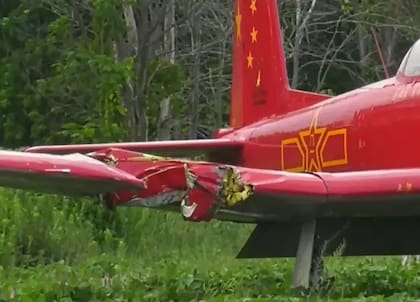 Una avioneta atropelló a una mujer que cortaba el pasto cerca de una pista de aterrizaje
