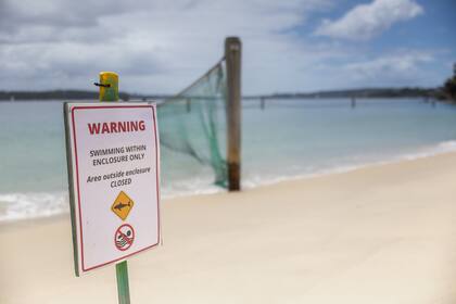 Aviso de playa cerrada en Vaucluse, Sídney, el lunes 19 de enero de 2026, un día después de que un niño fue atacado por un tiburón