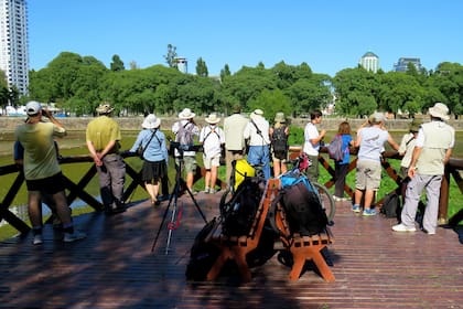 Avistaje de aves en la Reserva Ecológica Costanera Sur