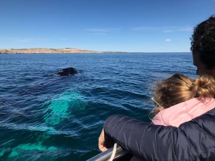 Los avistajes de ballenas se realizan en esta época desde diferentes embarcaciones que salen desde Puerto Pirámides