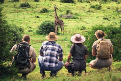 Avistajes en Shamwari