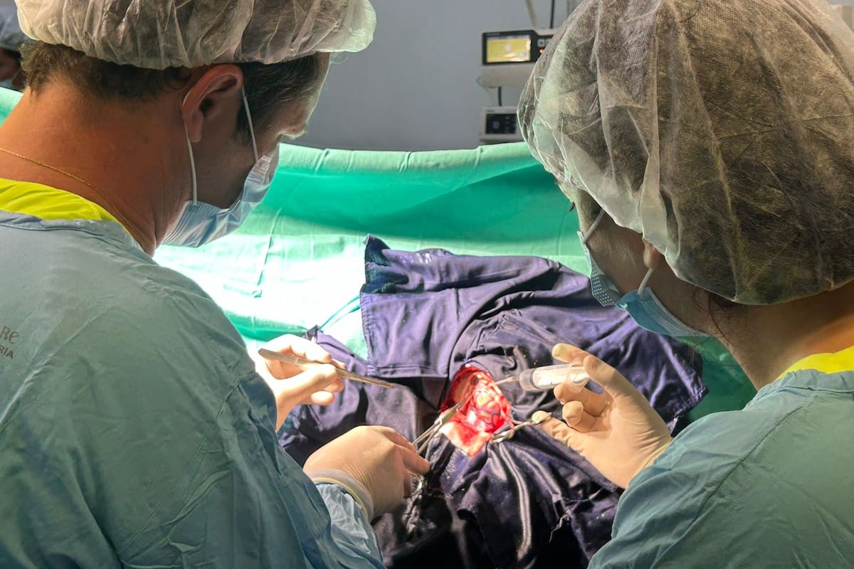 Awake Surgery, la técnica para remover tumores cerebrales con el paciente despierto