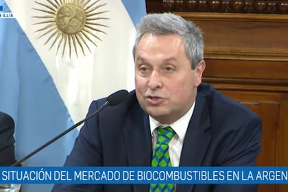 Axel Boerr, presidente de Capba, y uno de los oradores en el Senado