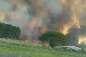 Ayer, en el paraje Batel, en el departamento correntino de Lavalle. Las llamas lograron sofocarse a la una de la madrugada de este jueves, luego de más de ocho horas de trabajo incesante de distintos cuarteles de bomberos de la región
